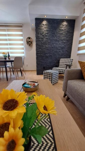 Vila Jahor Apartmani JET SET Lux 4,5,6